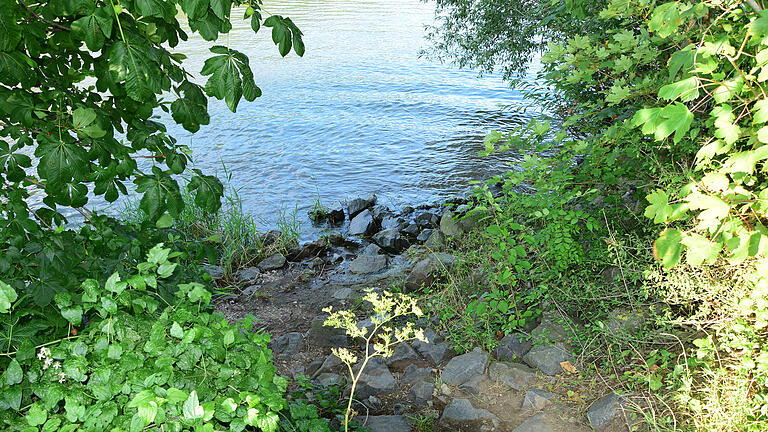 Wasserleiche Würzburg       -  Am Sonntagnachmittag wurde aus dem Main in Würzburg eine Wasserleiche geborgen.