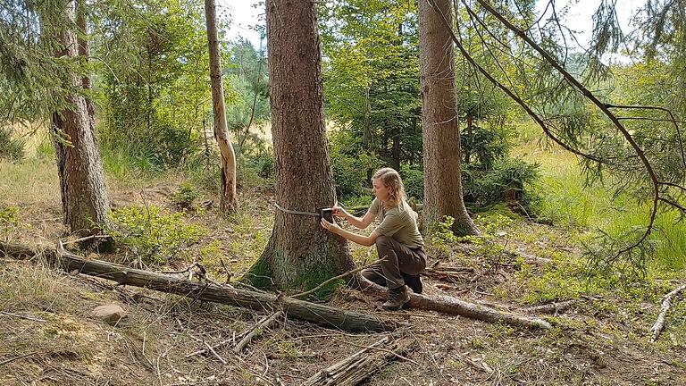 Eine der neuen Naturpark-Rangerinnen ist Amelie Nöth. Im südlichen Teil des Naturparks Rhön wirkt sie auch bei verschiedenen Forschungsaufgaben mit.&nbsp;