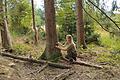 Eine der neuen Naturpark-Rangerinnen ist Amelie Nöth. Im südlichen Teil des Naturparks Rhön wirkt sie auch bei verschiedenen Forschungsaufgaben mit.&nbsp;