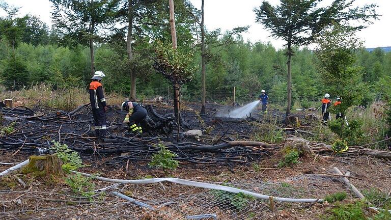 Zwischen Sandberg und Premich gerieten am Sonntagabend aus bislang ungeklärter Ursache rund 100 Quadratmeter Wald in Brand. Aufgrund der Gefahrenlage wegen der großen Trockenheit rückte ein Großaufgebot an Feuerwehrleuten aus.