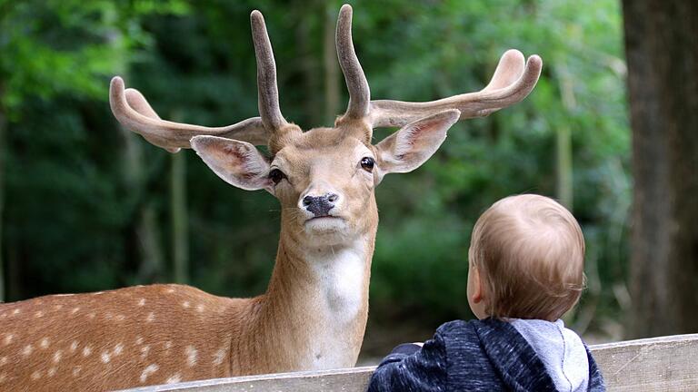 Egal ob groß oder klein, der Wildpark Bad Mergentheim ist ein Erlebnis für alle.