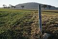 An dieser Fläche an der Bernbrunner Straße oberhalb von Unterleichtersbach beißen sich Menschen aus der Großgemeinde Oberleichtersbach und von außerhalb fest. Sie wollen, dass dort ein Solarpark entsteht.       -  An dieser Fläche an der Bernbrunner Straße oberhalb von Unterleichtersbach beißen sich Menschen aus der Großgemeinde Oberleichtersbach und von außerhalb fest. Sie wollen, dass dort ein Solarpark entsteht.