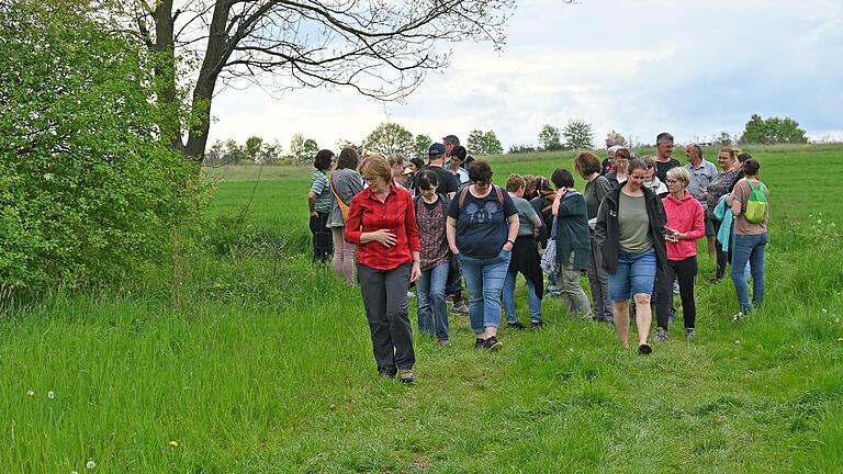 Mit kundigem Blick auf den Feldrain ging die zertifizierte Kräuterführerin Christine Taiber bei der Kräuterwanderung der KLB Euerfeld voran.