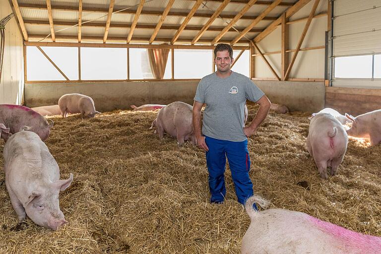 Landwirt Michael Voltz (24) möchte in Schernau den Ferkelerzeugerbetrieb der Eltern weiterführen - auch wenn Investitionen nötig werden.