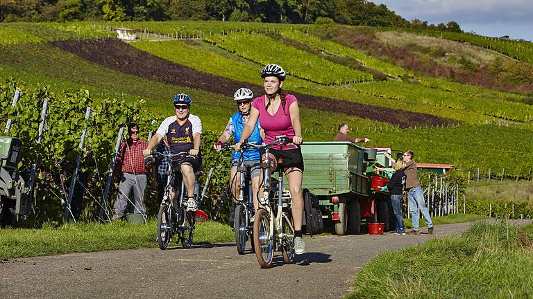 Tourismus: So viele Übernachtungen in Franken wie noch nie       -  Urlaub im eigenen Land ist bei den Deutschen beliebt. Auch in Franken steigen die Übernachtungszahlen.