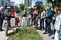 Der Botaniker und Ornithologe Karl Schwarz (links, mit Hut) erklärte auf einem Rundgang durch Bad Königshofen die Artenvielfalt am Wegesrand.