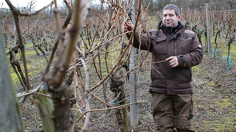 ham-aki-weinberg       -  Marcel Hümmler möchte sein Weingut an exponierter Stelle bei Feuerthal errichten.