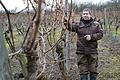 ham-aki-weinberg       -  Marcel Hümmler möchte sein Weingut an exponierter Stelle bei Feuerthal errichten.