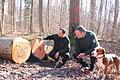 Gemeinsam mit Trainee Jonas Mex (von links) begutachtet Godfried Schwartz, Leiter des Bundesforstbetriebes Reußenberg, frisch geschlagene Buchenstämme. Immer mit dabei ist Jagdhund Henry.       -  Gemeinsam mit Trainee Jonas Mex (von links) begutachtet Godfried Schwartz, Leiter des Bundesforstbetriebes Reußenberg, frisch geschlagene Buchenstämme. Immer mit dabei ist Jagdhund Henry.