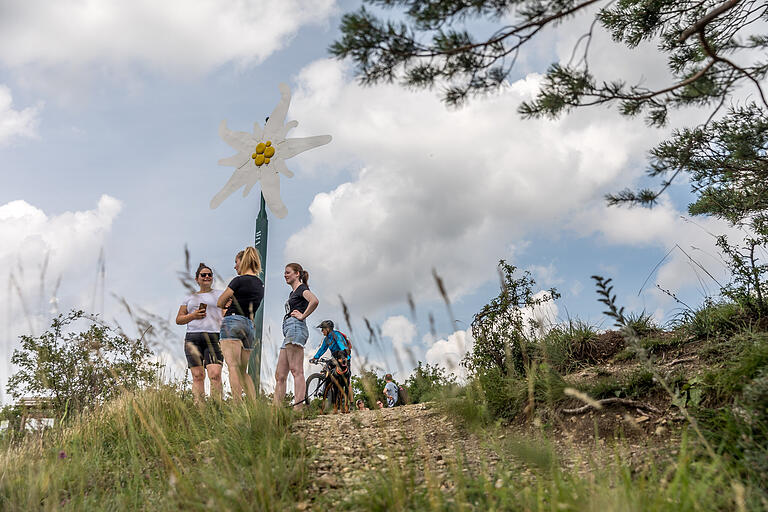 Das Edelweiß ist der Wendepunkt der Wanderung. Hier oben gibt's aber einige Möglichkeiten, die Tour zu verlängern. Das Edelweiß ist der Wendepunkt der Wanderung. Hier oben gibt's aber einige Möglichkeiten, die Tour zu verlängern.
