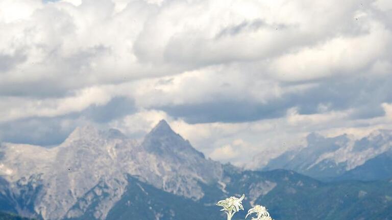 In den Kitzbüheler Alpen können sich Urlauber im Juni einer Extremwanderung anschließen. Foto: Ursula Düren/dpa       -  Kufstein in Tirol liegt etwa eine Stunde entfernt von den Kitzbüheler Alpen, aber auch im Kufsteinerland selbst können Urlauberinnen und Urlauber wandern gehen.