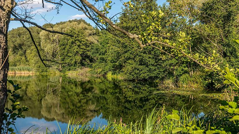 Unterwegs auf der 6,8 Kilometer langen Wanderrunde 'Verwunschen-Verwunschen', die am Schweinfurter Baggersee beginnt, treffen Wandernde auf so einige Highlights und schöne Überraschungen. Unterwegs auf der 6,8 Kilometer langen Wanderrunde 'Verwunschen-Verwunschen', die am Schweinfurter Baggersee beginnt, treffen Wandernde auf so einige Highlights und schöne Überraschungen.