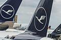 Lufthansa-Jets       -  Die Lufthansa hat 2024 auch wegen Streiks weniger Gewinn gemacht (Archivbild)