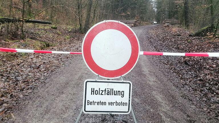 Gesperrt für die Holzfällung: Der Waldweg von der Nantenbacher Mariengrotte hinauf zum 'Märchenwald' war am vergangenen Sonntag gesperrt. Weiter oben heulten dem Arbeitszeitgesetz zum Trotz die Motorsägen.