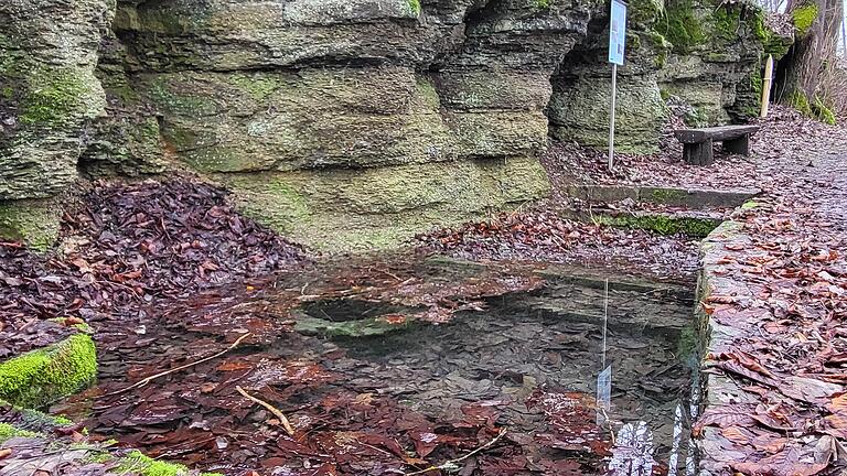 Der Bund Naturschutz im Landkreis Bad Kissingen startet im Frühjahr eine Quellenkartierung - Das Pfauenbrünnle ist eine etwas versteckte, jedoch seit langem gefasste Quelle nahe des Münnerstädter Schützenhauses, an der es laut Volksmund sogar eine Fee geben soll. Der Bund Naturschutz im Landkreis Bad Kissingen startet im Frühjahr eine Quellenkartierung - Das Pfauenbrünnle ist eine etwas versteckte, jedoch seit langem gefasste Quelle nahe des Münnerstädter Schützenhauses, an der es laut Volksmund sogar eine Fee geben soll.