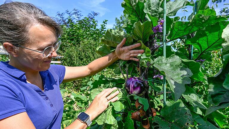 Hunderte verschiedene Pflanzen: Brigitte Stumpf beim Werkeln im Garten. Hunderte verschiedene Pflanzen: Brigitte Stumpf beim Werkeln im Garten.