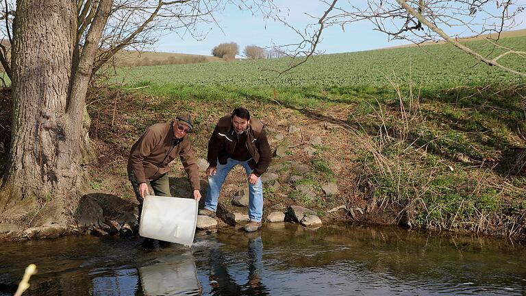 Weit über 10 000 Fische hat die Hegefischereigenossenschaft 'Wern und Nebengewässer' als Neubesatz in die Wern eingebracht. Im Bild der Vorsitzende Klaus Hoffmann und Peter Heid.