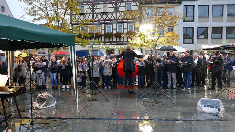 Marianne Klemm dirigiert den Chor voll Enthusiasmus. Marianne Klemm dirigiert den Chor voll Enthusiasmus.