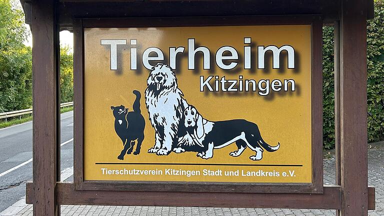 Der Bauantrag für den Tierheimneubau ist genehmigt, Baubeginn könnte im Januar, Umzug im Oktober 2024 sein.