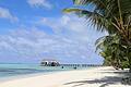 Das Fernweh packt viele Menschen auch in diesem Sommer. Immer beliebter, vor allem bei Jüngeren, werden Lifestyle-Urlaube an die Traumstrände in Mauritius und auf den Malediven.&nbsp;