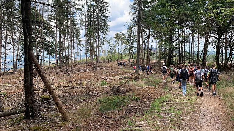 Die Lateinerinnen und Lateiner der 7. Klassen bei der Wanderung vom Sandplacken zur Saalburg. Die Lateinerinnen und Lateiner der 7. Klassen bei der Wanderung vom Sandplacken zur Saalburg.