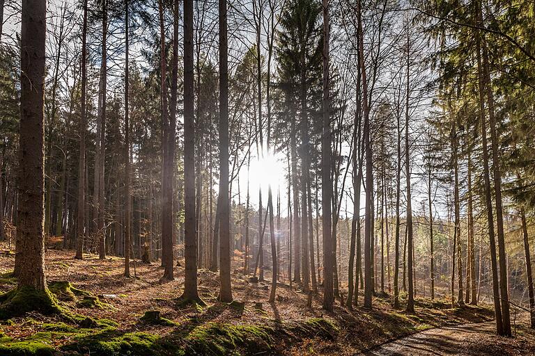 Die Tour lädt zum Entschleunigen bei einem Waldbad ein. Die Tour lädt zum Entschleunigen bei einem Waldbad ein.