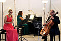 Bei der Sommernachtsserenade spielte das 'Trio TonArt' im Romantikgarten der Arnsteiner Burg.