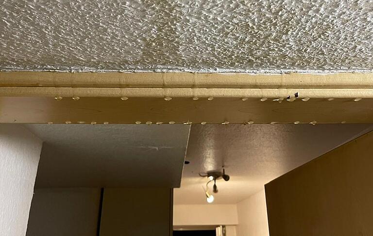 Nachts tropft es bei Katrin F.'s Tochter von der Decke, die Kellerwohnung steht unter Wasser. Nachbarinnen und Nachbarn kommen mit Eimern und Lappen. Katrin F. hat dieses Foto mit ihrem Smartphone aufgenommen.