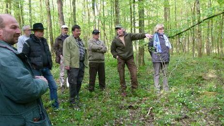 Hans Stark (2. von rechts), Leiter des Universitätsforstamts Sailershausen, gab den Teilnehmern an dem Erfahrungsaustausch wertvolle Informationen.