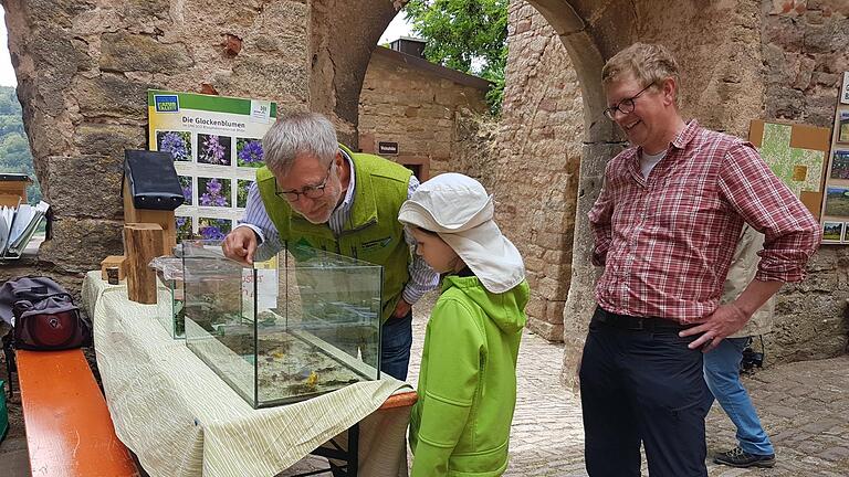 Viel Natur zum Anschauen und Anfassen gab es bei der 50 Jahrfeier des BN auf der Trimburg. - Viel Natur zum Anschauen und Anfassen gab es bei der 50 Jahrfeier des BN auf der Trimburg. Viel Natur zum Anschauen und Anfassen gab es bei der 50 Jahrfeier des BN auf der Trimburg. - Viel Natur zum Anschauen und Anfassen gab es bei der 50 Jahrfeier des BN auf der Trimburg.