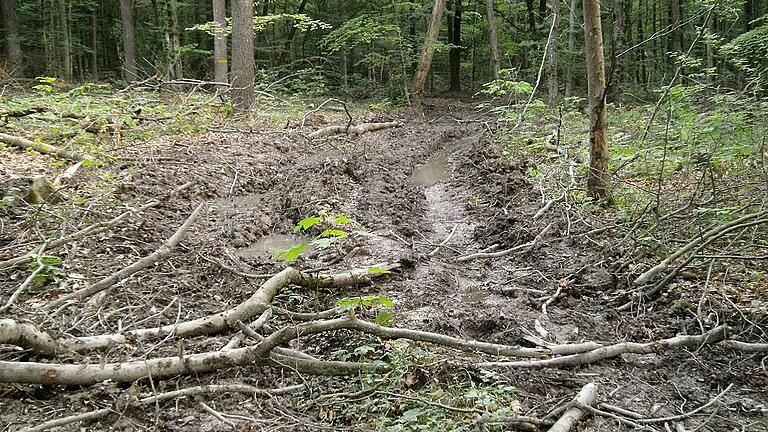 Nach Mitteilung des Forstbetriebs Ebrach vom 29. Juli war der beim Holzrücken Anfang Mai stark in Mitleidenschaft gezogene Steigerwald-Panoramaweg oberhalb von Neuhausen &bdquo;seit längerer Zeit wieder gut begehbar&ldquo; und &bdquo;keine gravierenden Schäder oder gar Gefahren feststellbar&ldquo;. Diese Aufnahme stammt vom 18. Mai und zeigt ein anderes Bild. Nicht viel anders, nur durch die Abtrockung etwas humaner, sah es dort bis Anfang dieser Woche aus.