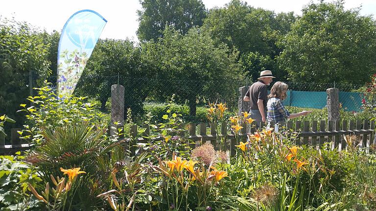 Tag der offenen Gartentür war auch im kleinen, feinen Grabengarten von Annett Reichelt in Sommerhausen. Tag der offenen Gartentür war auch im kleinen, feinen Grabengarten von Annett Reichelt in Sommerhausen.