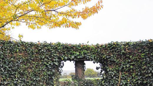 Blick hinüber: Auf dem Egenhäuser Friedhof öffnet ein Fenster die umgebende Mauer für einen Blick hinaus in die Weite. Foto Silvia Eidel FOTO Silvia Eidel Blick hinüber: Auf dem Egenhäuser Friedhof öffnet ein Fenster die umgebende Mauer für einen Blick hinaus in die Weite. Foto Silvia Eidel FOTO Silvia Eidel