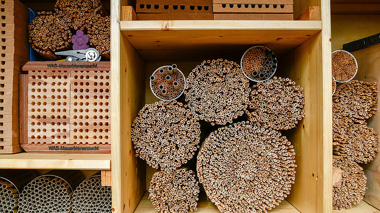 Im Wildbienenhaus werden verschiedenste, aber hochwertige Materialien verwendet. Im Wildbienenhaus werden verschiedenste, aber hochwertige Materialien verwendet.