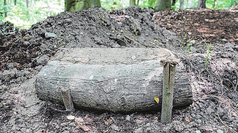 So wie bei dieser noch unfertigen Schanze zu sehen, wird der Flowtrail vorwiegenden aus natürlichen Materialien gebaut.