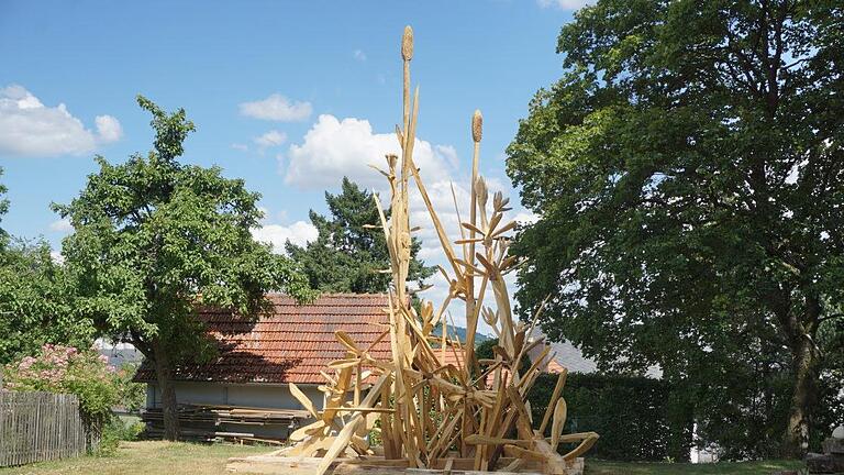 Ein überdimensionales  Wiesenstück ist während des 'SymBiosiums' der Schüler der Staatlichen Berufsfachschule für Holzbildhauer entstanden. Bestaunt werden kann es auf dem Freigelände der Schule in Bischofsheim.  Foto: Marion Eckert       -  Ein überdimensionales  Wiesenstück ist während des 'SymBiosiums' der Schüler der Staatlichen Berufsfachschule für Holzbildhauer entstanden. Bestaunt werden kann es auf dem Freigelände der Schule in Bischofsheim.  Foto: Marion Eckert