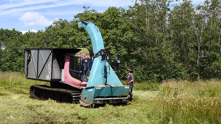 Lupinwn-Bekämpfung in der Rhön       -  Auf moorigen Feuchtflächen mäht eine umgebaute Pistenraupe die Wiesen in der Langen Rhön.