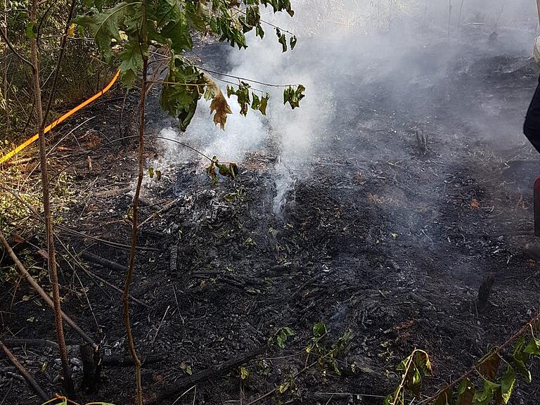 Das Foto stammt vom Waldbrand am 2. August 2022 in Mainbernheim. Das Foto stammt vom Waldbrand am 2. August 2022 in Mainbernheim.