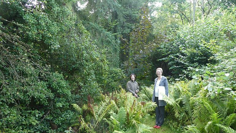 Christine Bender, Gartenzertifiziererin (links) mit Frau Kenner im wildromantischen Gartenparadies. Dieter Büttner       -  Christine Bender, Gartenzertifiziererin (links) mit Frau Kenner im wildromantischen Gartenparadies. Dieter Büttner