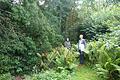 Christine Bender, Gartenzertifiziererin (links) mit Frau Kenner im wildromantischen Gartenparadies. Dieter Büttner       -  Christine Bender, Gartenzertifiziererin (links) mit Frau Kenner im wildromantischen Gartenparadies. Dieter Büttner