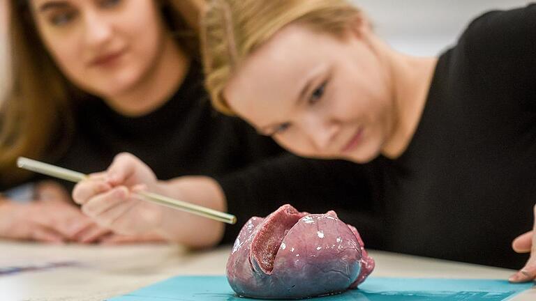 Im Bio-Unterricht ein Herz sezieren       -  Selbst Organe in die Hand nehmen, sie ertasten und mit Skalpell, Schere und Glasstab öffnen und ansehen &ndash; das ist für Schüler eine ganz andere, viel direktere Erfahrung von Organen, als wenn sie Biologie per Video oder aus Büchern lernen.