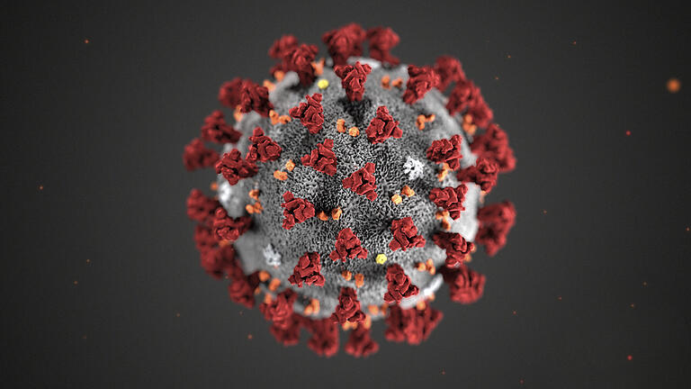Vom Coronavirus (Symbolbild) gibt es mittlerweile mehrere Mutationen. Die britische Corona-Variante wird auch in Rhön-Grabfeld vermehrt nachgewiesen. Vom Coronavirus (Symbolbild) gibt es mittlerweile mehrere Mutationen. Die britische Corona-Variante wird auch in Rhön-Grabfeld vermehrt nachgewiesen.