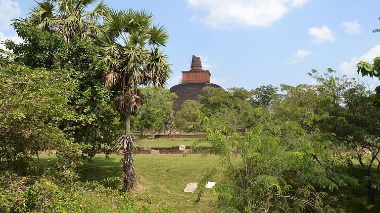 In der alten Königsstadt Anuradhapura steht der heilige Bodhi-Baum.