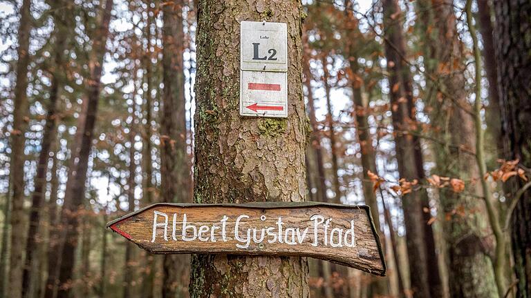 Unterwegs Richtung Märchenwald im Spessart bei Neuendorf am Main, den Albert-Gustav-Pfad entlang. Von hier ist es nur noch ein Katzensprung in den Märchenwald.