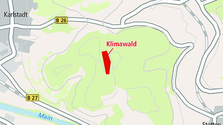 Stadtwald Karlstadt: Aus Lichtung soll neuartiger Wald werden