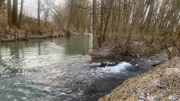 Im Bereich der Einmündung des Talwasserbaches in die Lauer soll für den neuen Freizeit- und Erholungspark ein Zugang zum Wasser geschaffen werden.       -  Im Bereich der Einmündung des Talwasserbaches in die Lauer soll für den neuen Freizeit- und Erholungspark ein Zugang zum Wasser geschaffen werden.