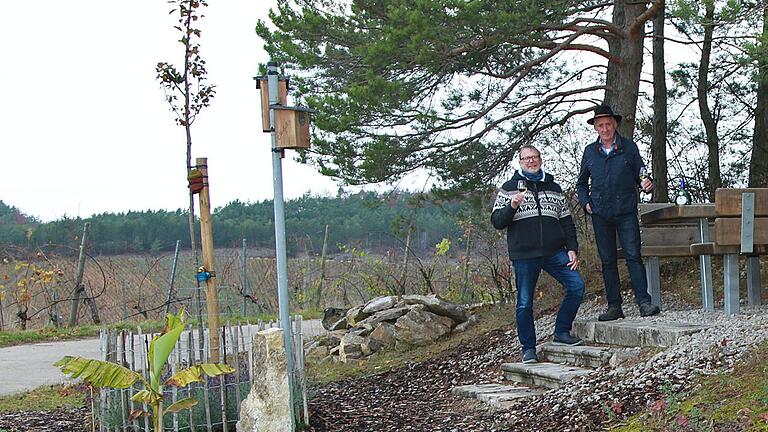 Nahe&nbsp;des Terroir f bei Thüngersheim gibt es jetzt eine Sitzgruppe unter den Schatten spendenden Kiefern am Fischberg, wo Winzermeister Michael Göpfert (rechts) neben einer Elsbeere auch eine Bananenstaude (links im Bild) gepflanzt hat. Auch Bürgermeister Michael Röhm ist davon überzeugt, hier bald Früchte ernten zu können.