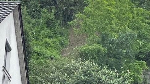 Oberhalb der Mainstraße in Hohenfeld sind nach dem Unwetter am Wochenende Teile des Hangs ins Rutschen geraten.