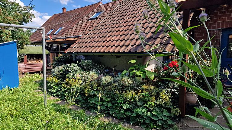 Unterschlupfmöglichkeiten für Insekten gibt es reichlich. - Unterschlupfmöglichkeiten für Insekten gibt es reichlich. Unterschlupfmöglichkeiten für Insekten gibt es reichlich. - Unterschlupfmöglichkeiten für Insekten gibt es reichlich.