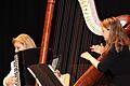 Erstmals auf der Marktheidenfeld Bühne:  'Duo SaitenWind' mit&nbsp; Alma Flammersberger (Akkordeon) und Sonja Fiedler (Harfe).